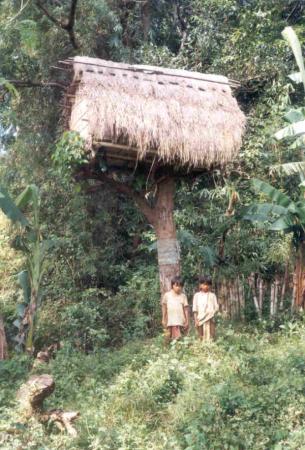 Buhid Mangyans